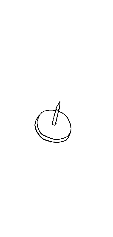 pin image