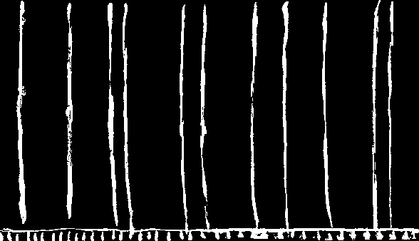 curtain