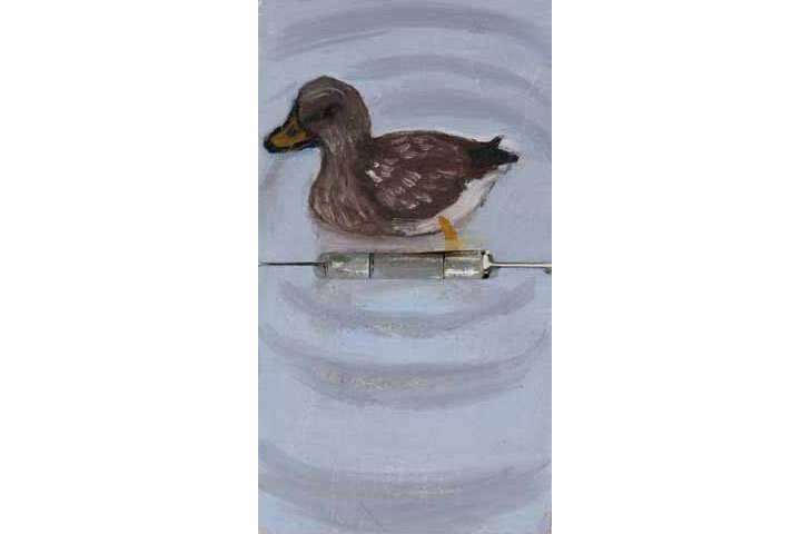 a duck
