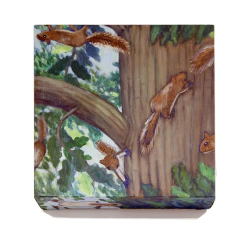 Squirrels