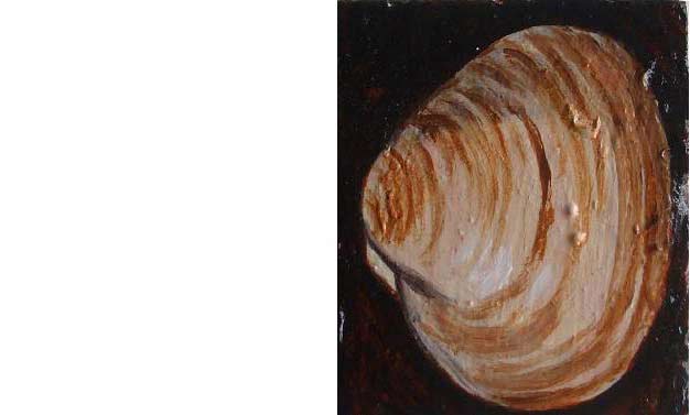 Clam. I want to be a clam