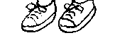 trainers