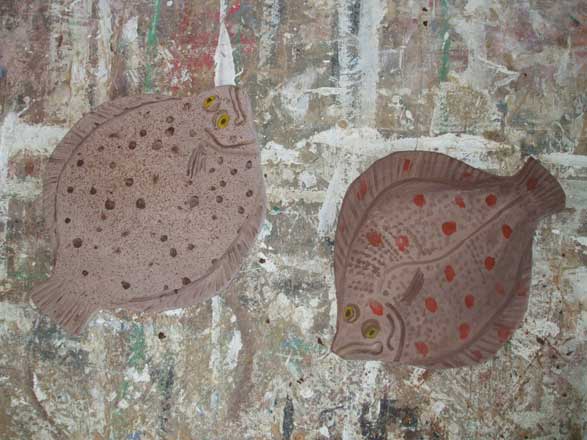 Flat Fish