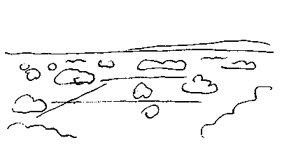 passes some fields