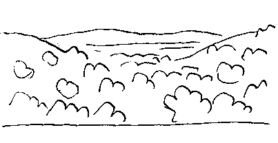 goes into the countryside